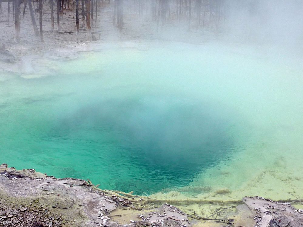 Yellowstone Norris Geyser Cistern spring (6).JPG